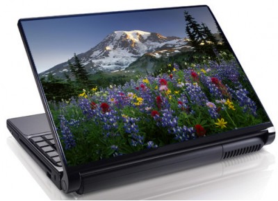 Laptopskin peisaje naturale 00071