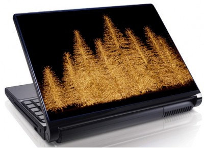 Laptopskin sarbatori 00001