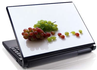 Laptopskin struguri