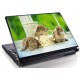 Laptopskin animale 00005