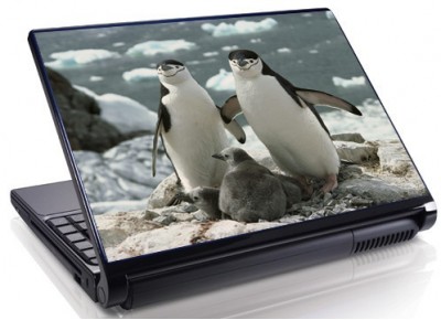 Laptopskin animale 00023