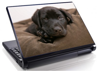 Laptopskin animale 00025