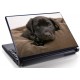 Laptopskin animale 00025