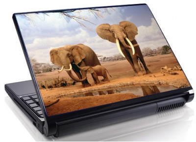 Laptopskin animale 00036
