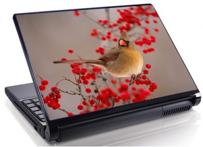 Laptopskin animale 00040