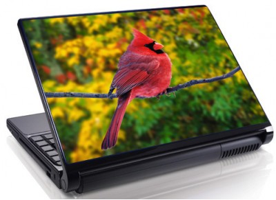 Laptopskin animale 00045