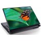 Laptopskin animale 00054