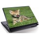 Laptopskin animale 00089