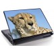 Laptopskin animale 00099