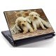 Laptopskin animale 00112