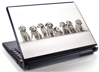 Laptopskin animale 00113
