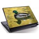 Laptopskin animale 00115