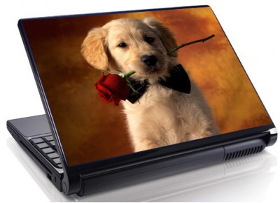 Laptopskin animale 00116