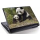 Laptopskin animale 00117
