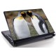 Laptopskin animale 00125