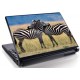 Laptopskin animale 00126