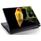 Laptopskin animale 00128