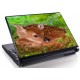 Laptopskin animale 00132