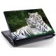 Laptopskin animale 00134