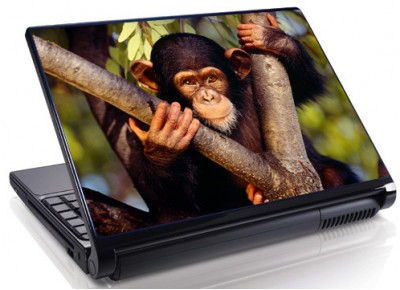 Laptopskin animale 00136