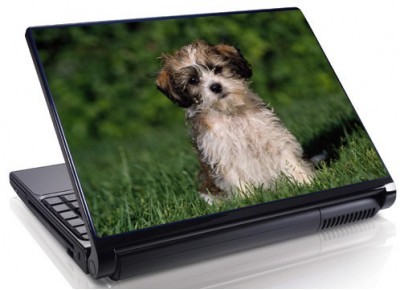Laptopskin animale 00138