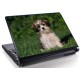 Laptopskin animale 00138