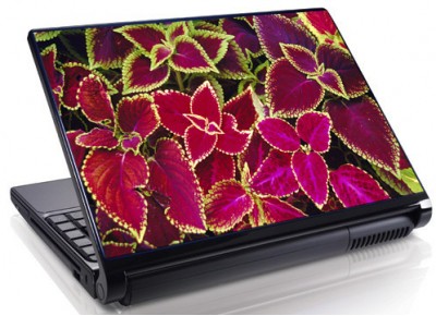 Laptopskin flori 00011