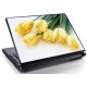 Laptopskin flori 00018