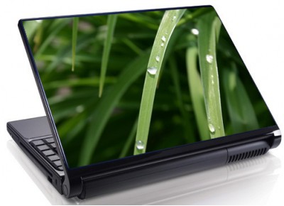 Laptopskin flori 00019