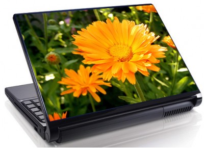 Laptopskin flori 00039