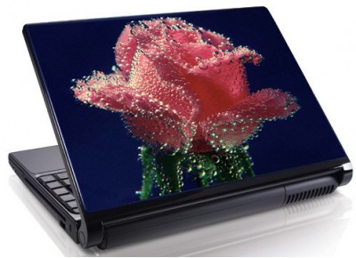 Laptopskin flori 00043