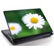 Laptopskin flori 00064