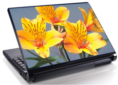 Laptopskin flori 00065